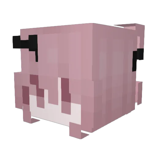 Floydiana Minecraft avatar head, 3D render