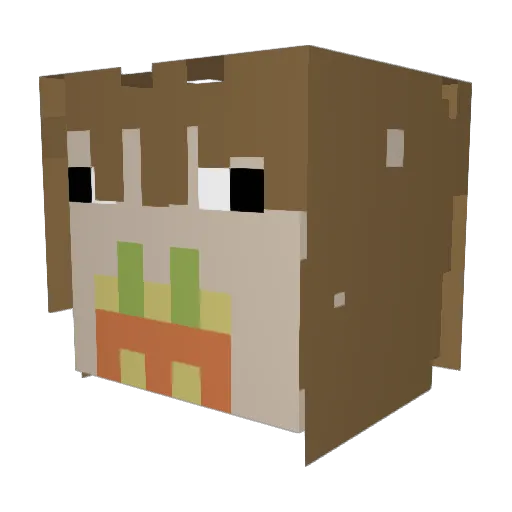 FloydsDUI69 Minecraft avatar head, 3D render
