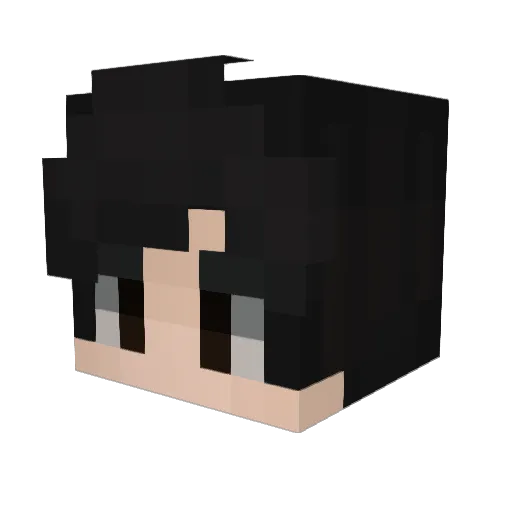 Flppenguin Minecraft avatar head, 3D render