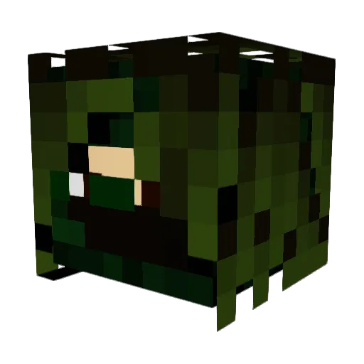 Flritz Minecraft avatar head, 3D render