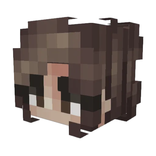 FltLtEmi Minecraft avatar head, 3D render