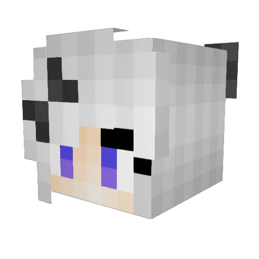 FluXxii Minecraft avatar head, 3D render