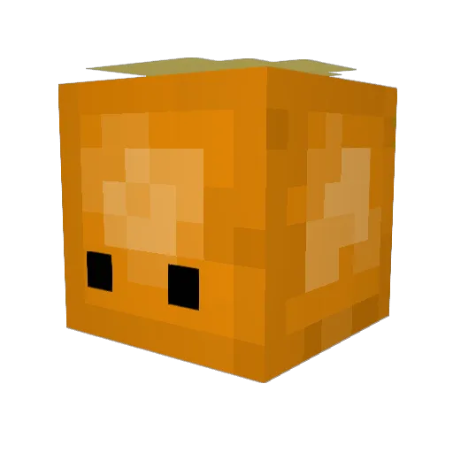 FlubbyPancakes Minecraft avatar head, 3D render