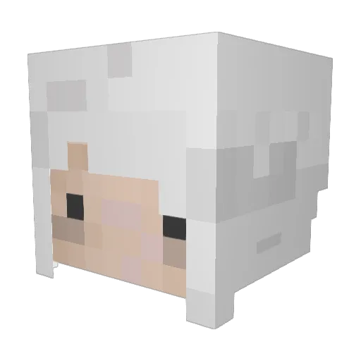 FlubbyPie Minecraft avatar head, 3D render