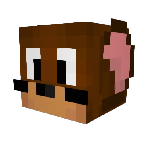Fluby41 Minecraft avatar head, 3D render