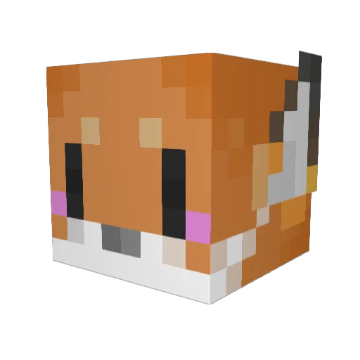 Fluchsy Minecraft avatar head, 3D render
