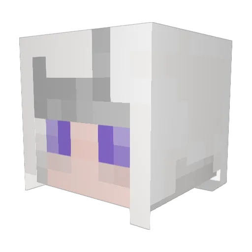 FluctuatingLight Minecraft avatar head, 3D render