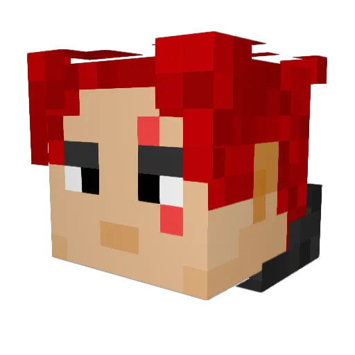 Fluent_Reuben_ Minecraft avatar head, 3D render