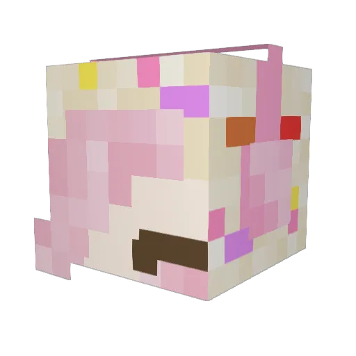 FluffTortilla11 Minecraft avatar head, 3D render
