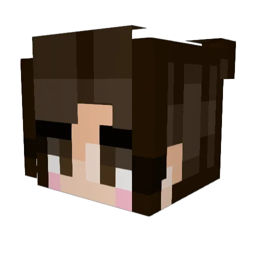 FlufferFuzz Minecraft avatar head, 3D render