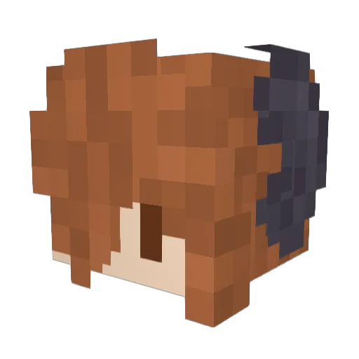 FluffiestBee Minecraft avatar head, 3D render
