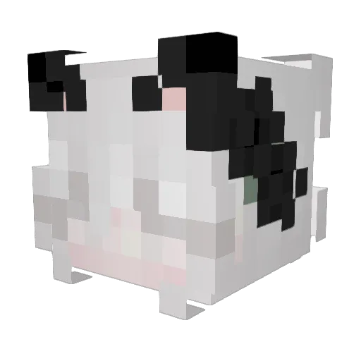 FluffiiCloud Minecraft avatar head, 3D render