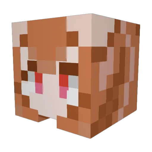 Fluffiluffiguis Minecraft avatar head, 3D render