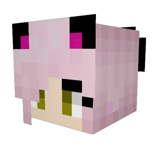 Flufflebby Minecraft avatar head, 3D render