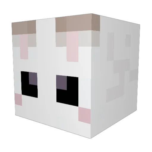 Flufflwaffle Minecraft avatar head, 3D render