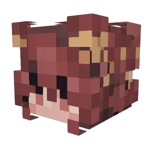 Fluffshow Minecraft avatar head, 3D render