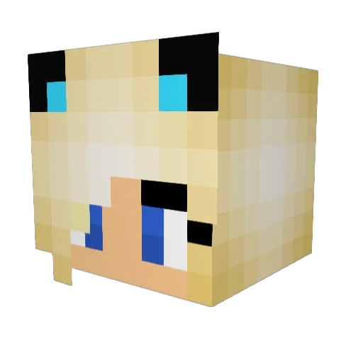 Fluffy1694 Minecraft avatar head, 3D render