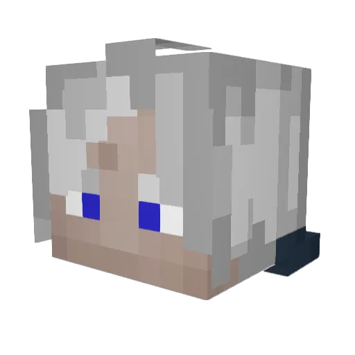 Fluffy227 Minecraft avatar head, 3D render