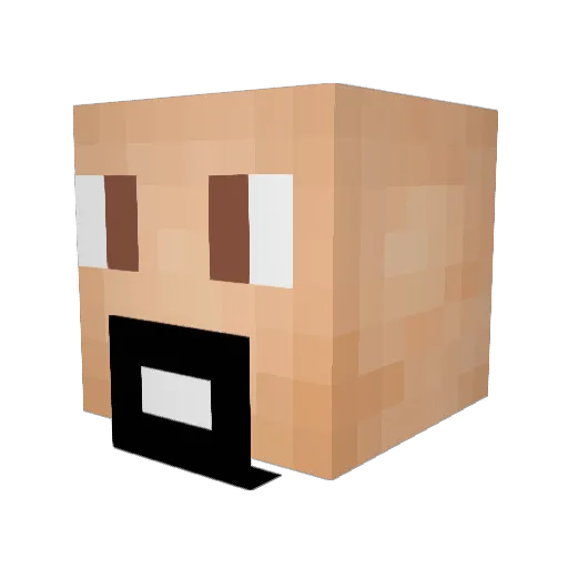 Fluffy3100 Minecraft avatar head, 3D render