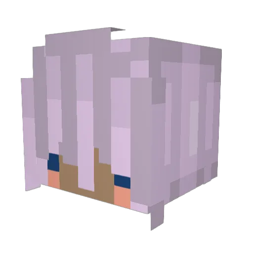 Fluffy5055 Minecraft avatar head, 3D render