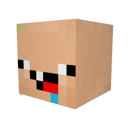 Fluffy5601 Minecraft avatar head, 3D render