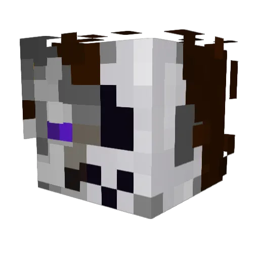 FluffyBlankS Minecraft avatar head, 3D render