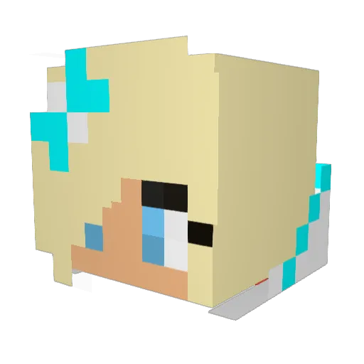 FluffyBubbles54 Minecraft avatar head, 3D render