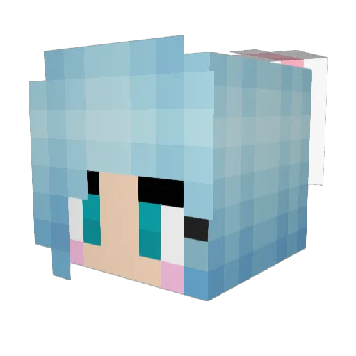 FluffyBunnies13 Minecraft avatar head, 3D render