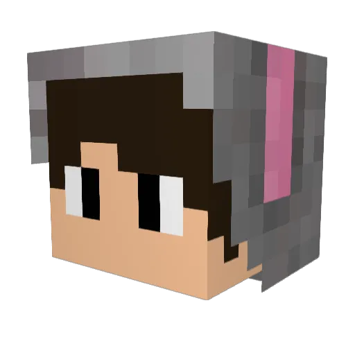 FluffyBunnies63 Minecraft avatar head, 3D render
