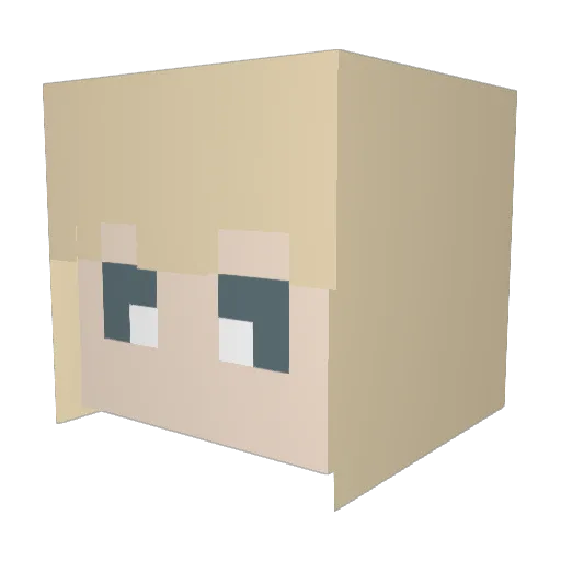 FluffyBunnyGir1 Minecraft avatar head, 3D render