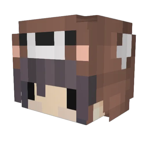 FluffyBunnyNZ Minecraft avatar head, 3D render