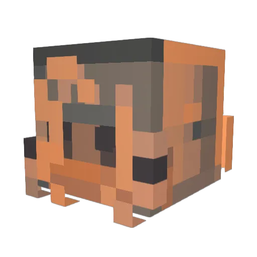 Minecraft-Avatar von FluffyCaat: Kopf als 3D-Render