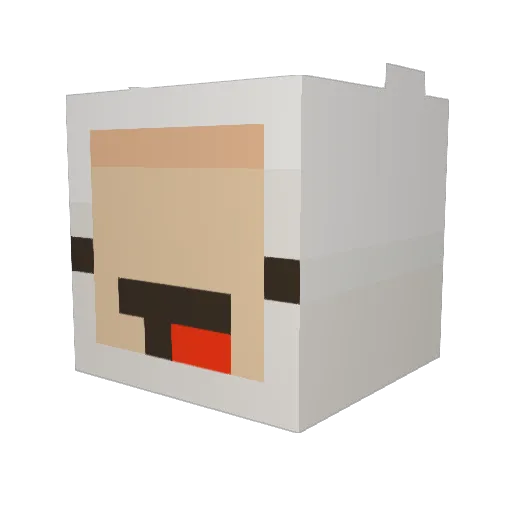 FluffyCake221 Minecraft avatar head, 3D render