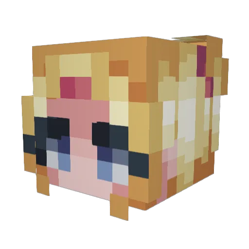 FluffyCat14 Minecraft avatar head, 3D render