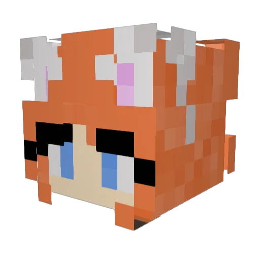 FluffyCat19 Minecraft avatar head, 3D render