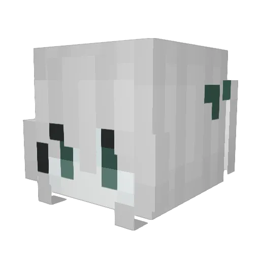 FluffyClound Minecraft avatar head, 3D render