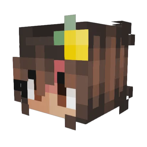 FluffyDoodles Minecraft avatar head, 3D render