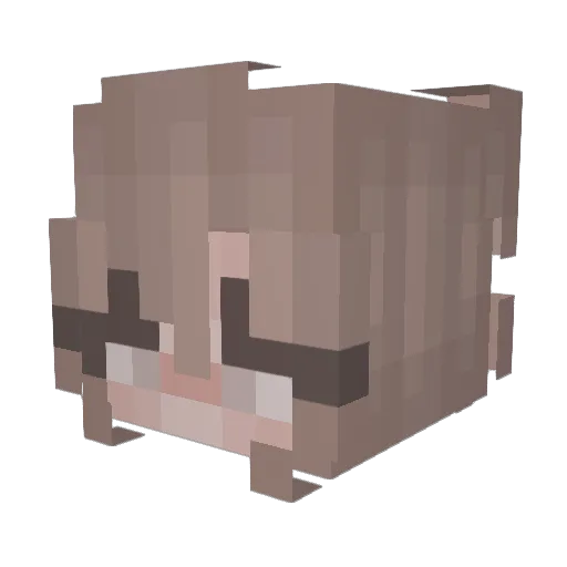FluffyDreams Minecraft avatar head, 3D render