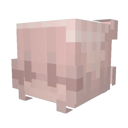 FluffyDuck57311 Minecraft avatar head, 3D render