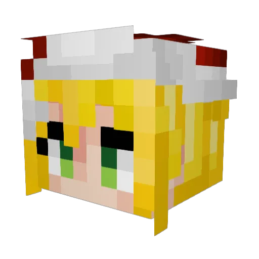 FluffyFishcat Minecraft avatar head, 3D render