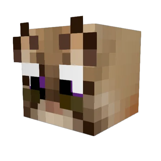 FluffyFrickling Minecraft avatar head, 3D render
