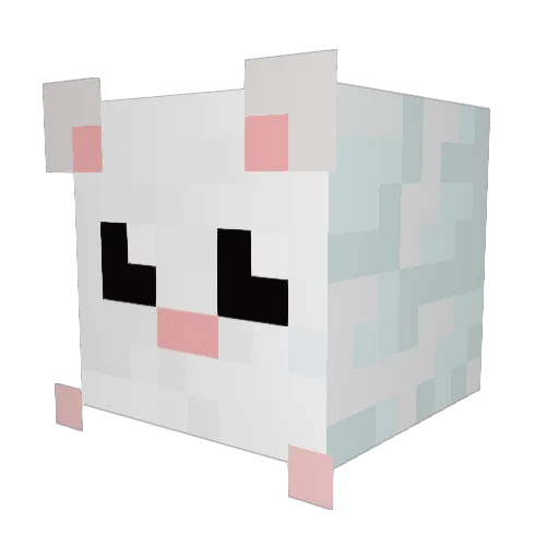 FluffyHamster666 Minecraft avatar head, 3D render