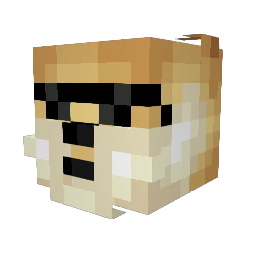 FluffyHarper Minecraft avatar head, 3D render