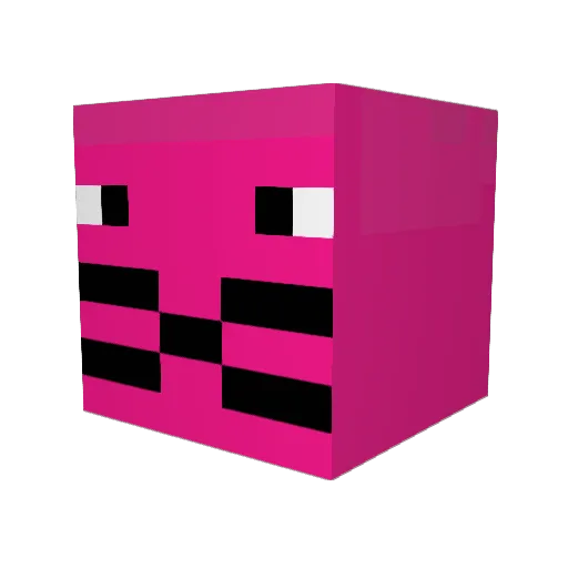 FluffyHugsKat Minecraft avatar head, 3D render