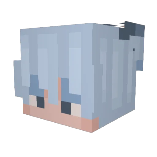 FluffyJeffy Minecraft avatar head, 3D render
