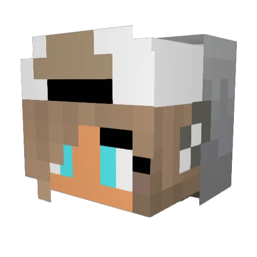 FluffyKitty2413 Minecraft avatar head, 3D render