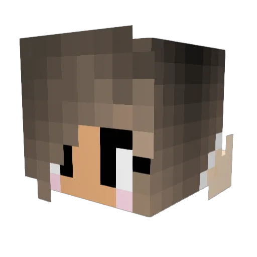 FluffyKitty3 Minecraft avatar head, 3D render