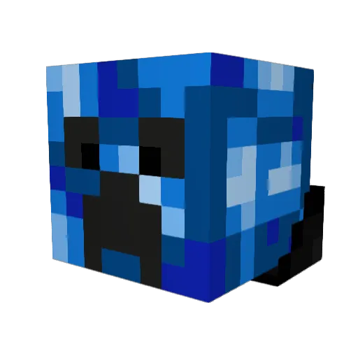 FluffyMcMan625 Minecraft avatar head, 3D render