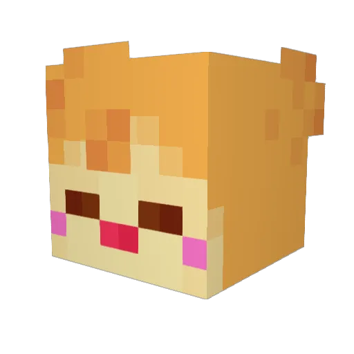 FluffyMothcat Minecraft avatar head, 3D render