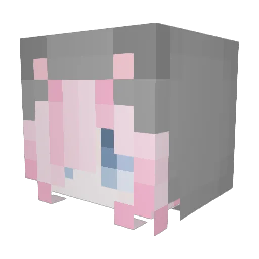 FluffyNarwhals27 Minecraft avatar head, 3D render